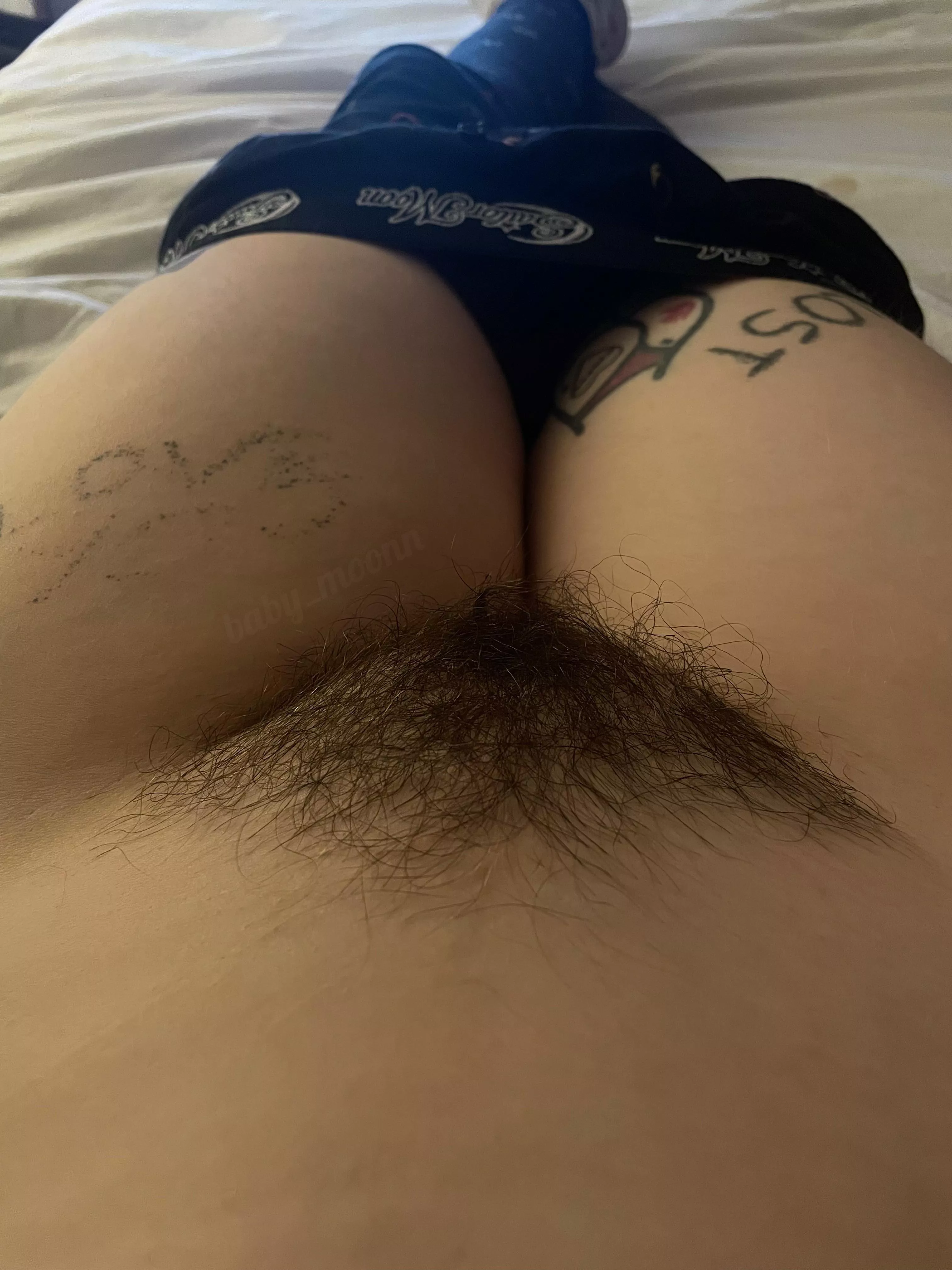 I Love My Full Bush Nudes Hairypussy Nude Pics Org