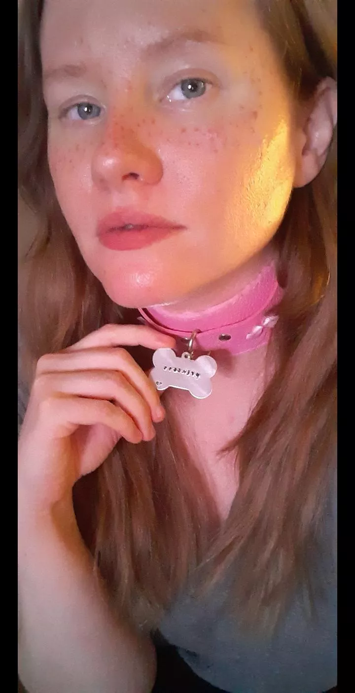 My Pink Princess Collar Nudes Petplay Nude Pics Org