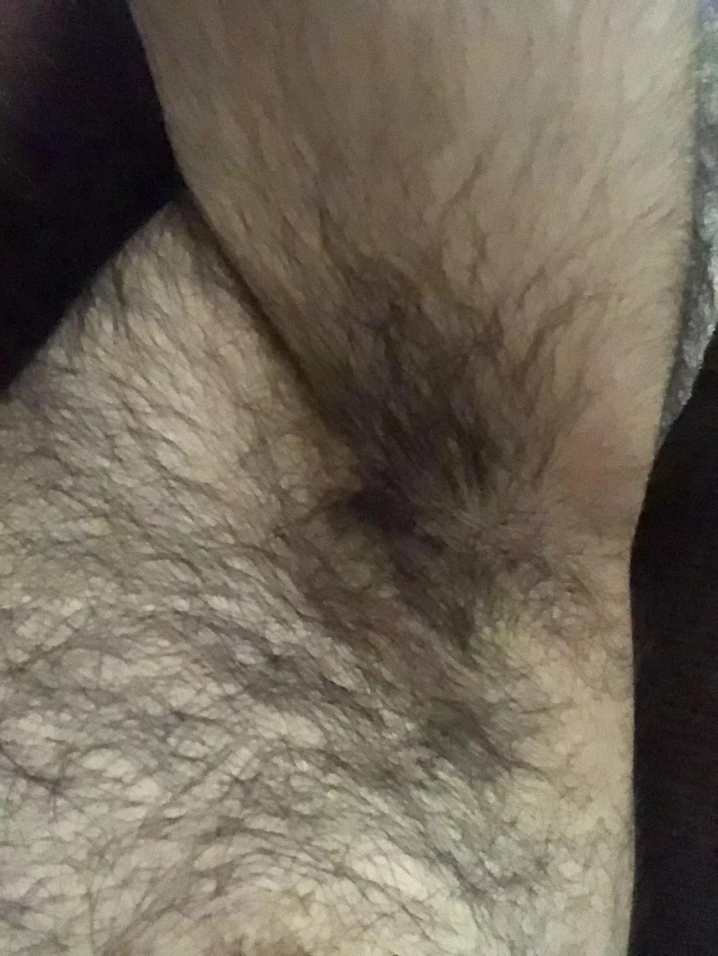 Is It Hairy Enough Nudes Malearmpits Nude Pics Org