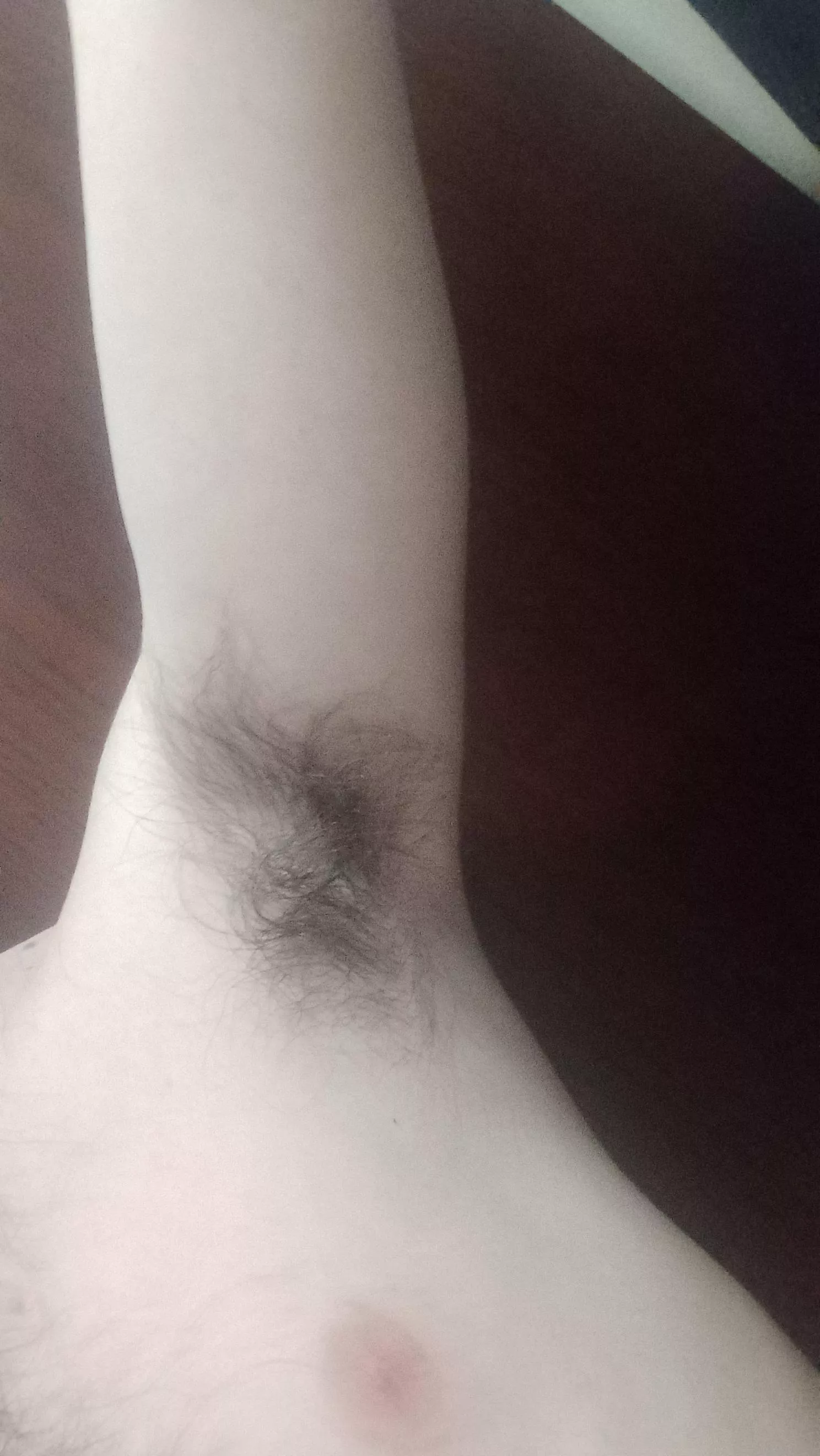 Are Hairy Armpits Appreciated Here Nudes Armpitfetish NUDE PICS ORG