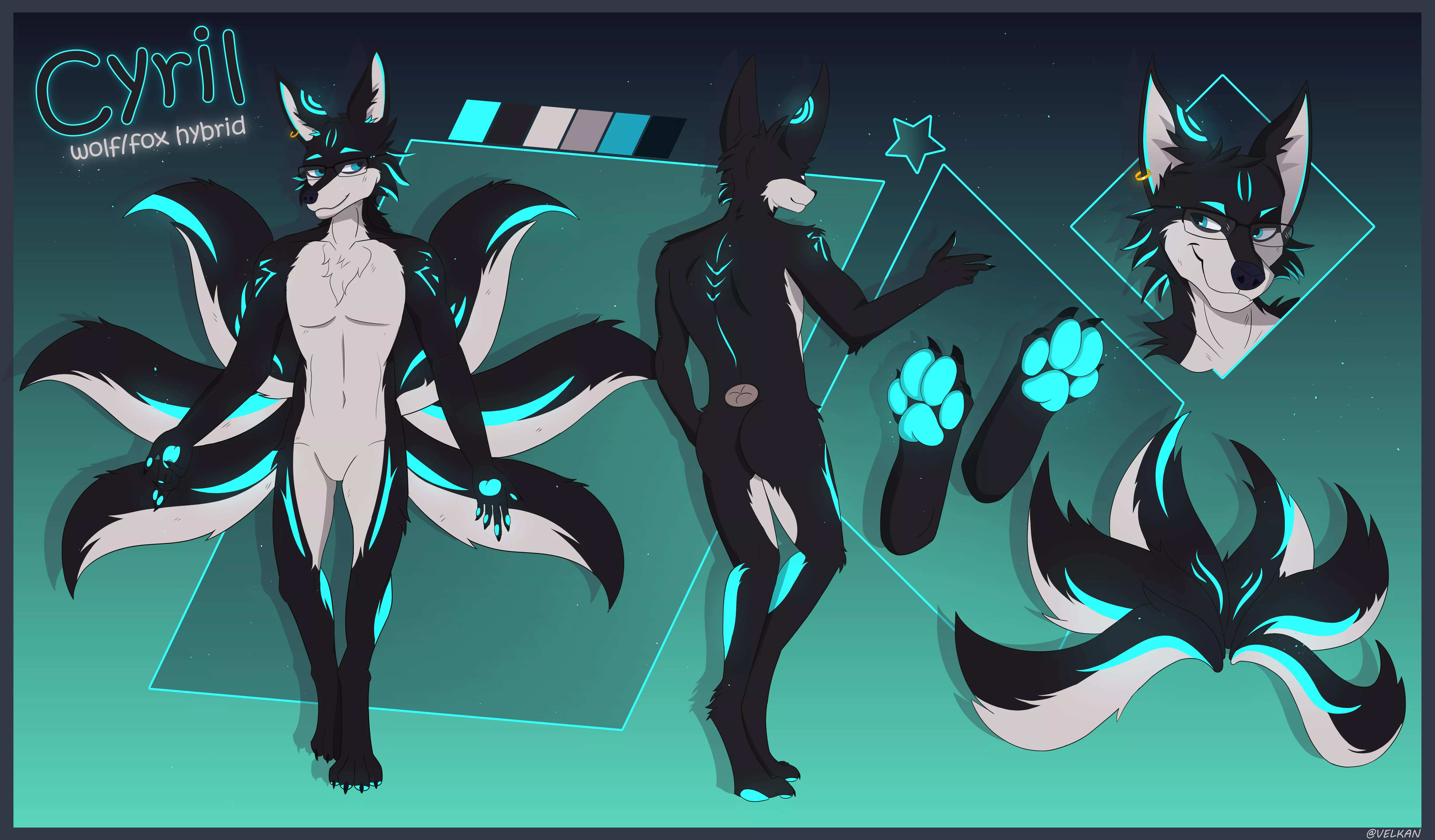 Reference Sheet For Kiroblu Commissions Open Nudes Furry Nude