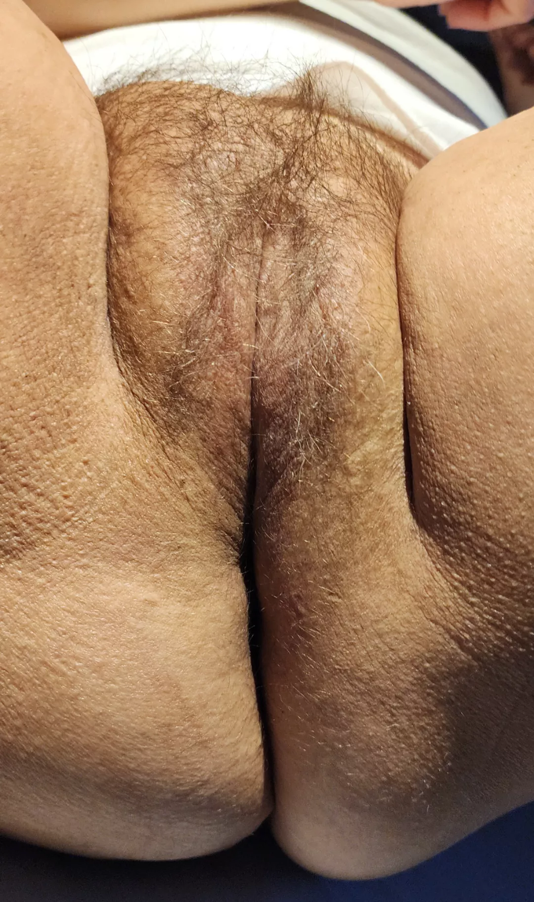 Rate My Hairy Pussy Oc Nudes Pussyrating NUDE PICS ORG