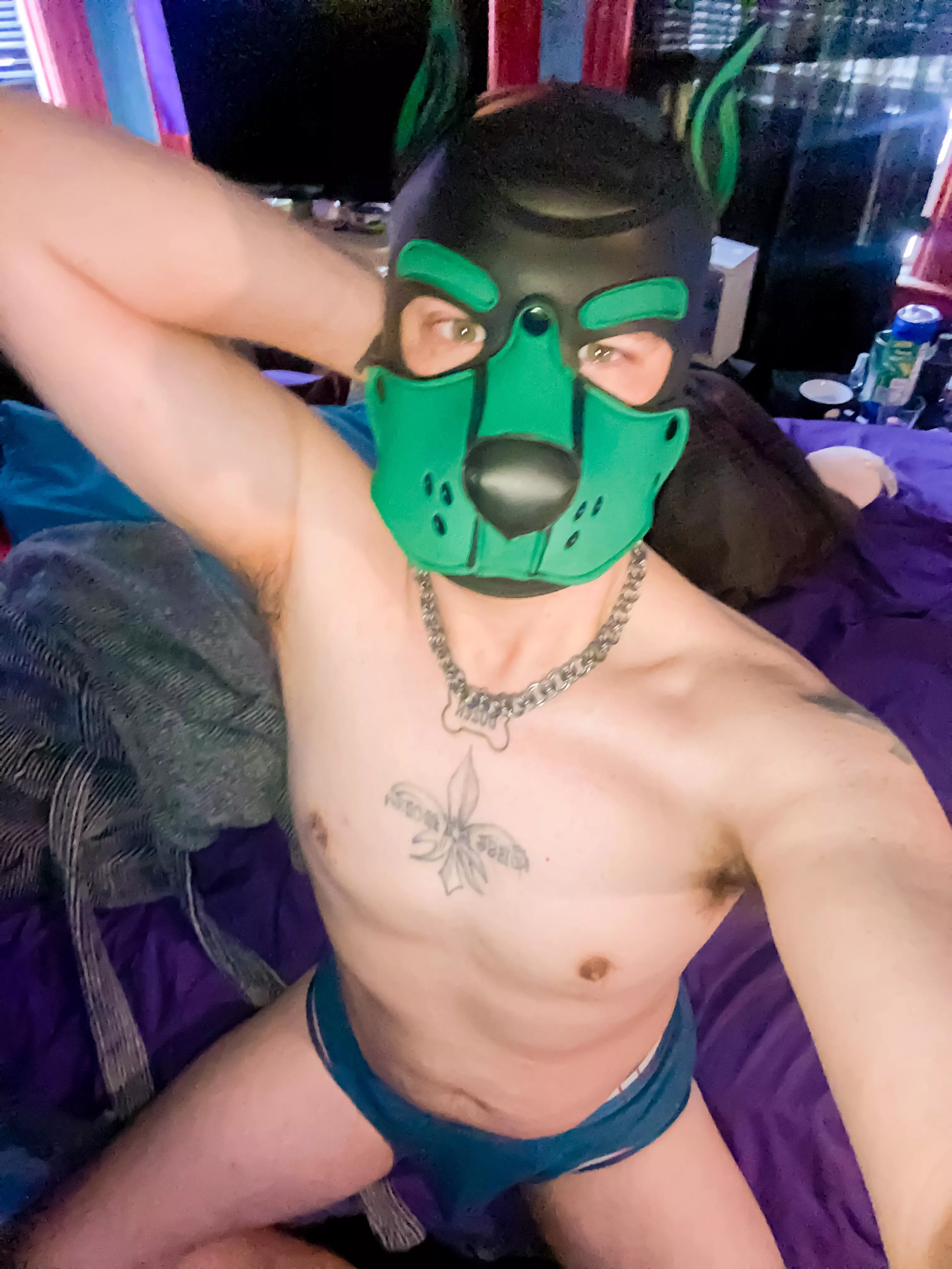 Come Sniff Nudes PupPlay NUDE PICS ORG