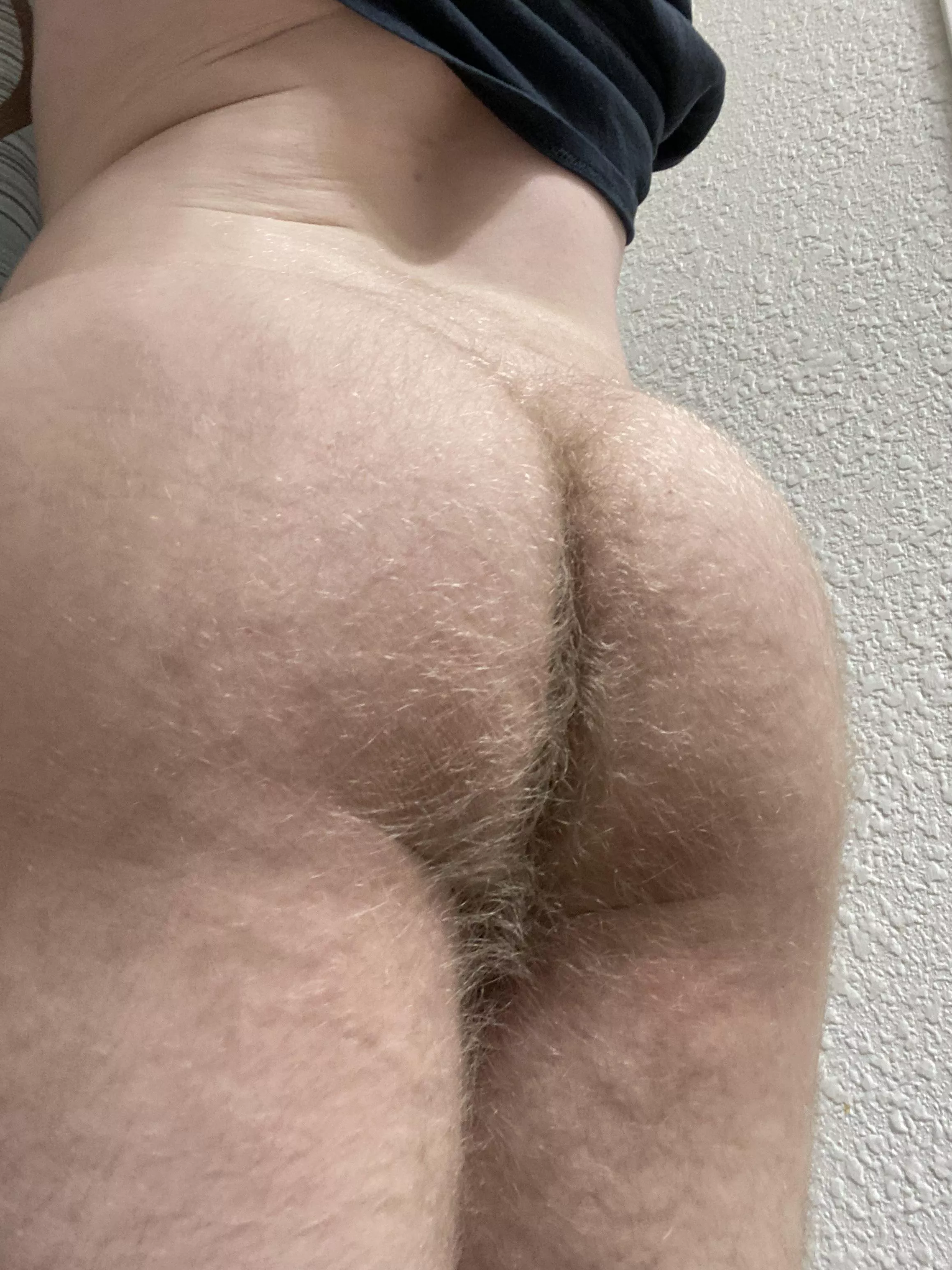 I Love My Fuzzy Ass Nudes Insanelyhairymen Nude Pics Org