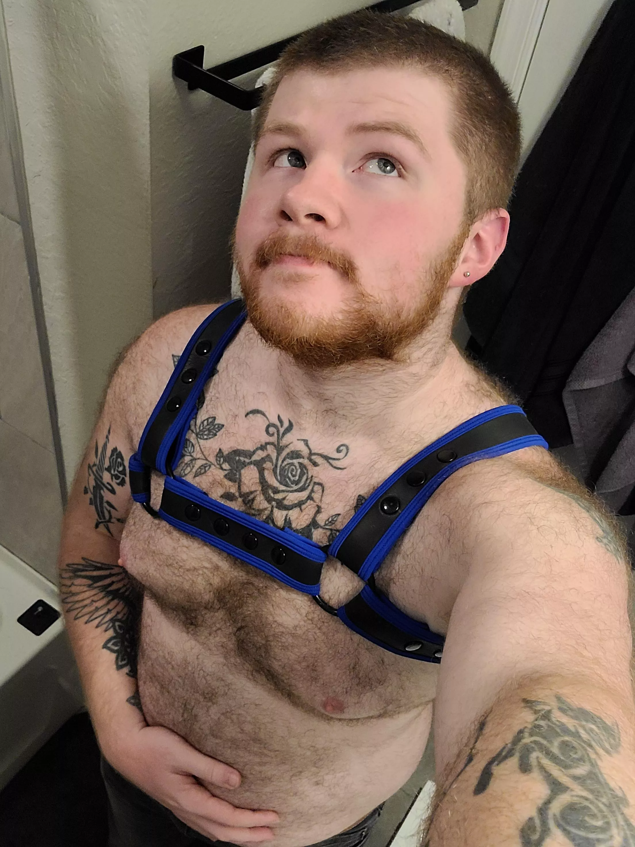 I M Liking This New Harness Nudes Gaybears Nude Pics Org