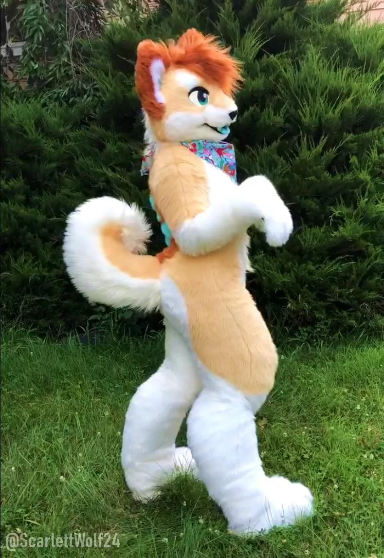 Happy Fursuit Friday Nudes Furry Nude Pics Org