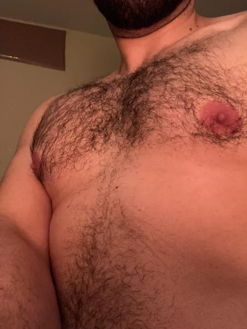 Hairy Chest Fetish