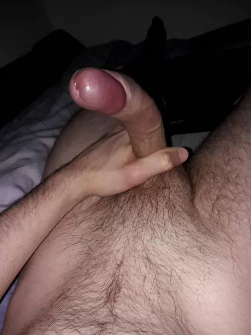 Curvy Cocks