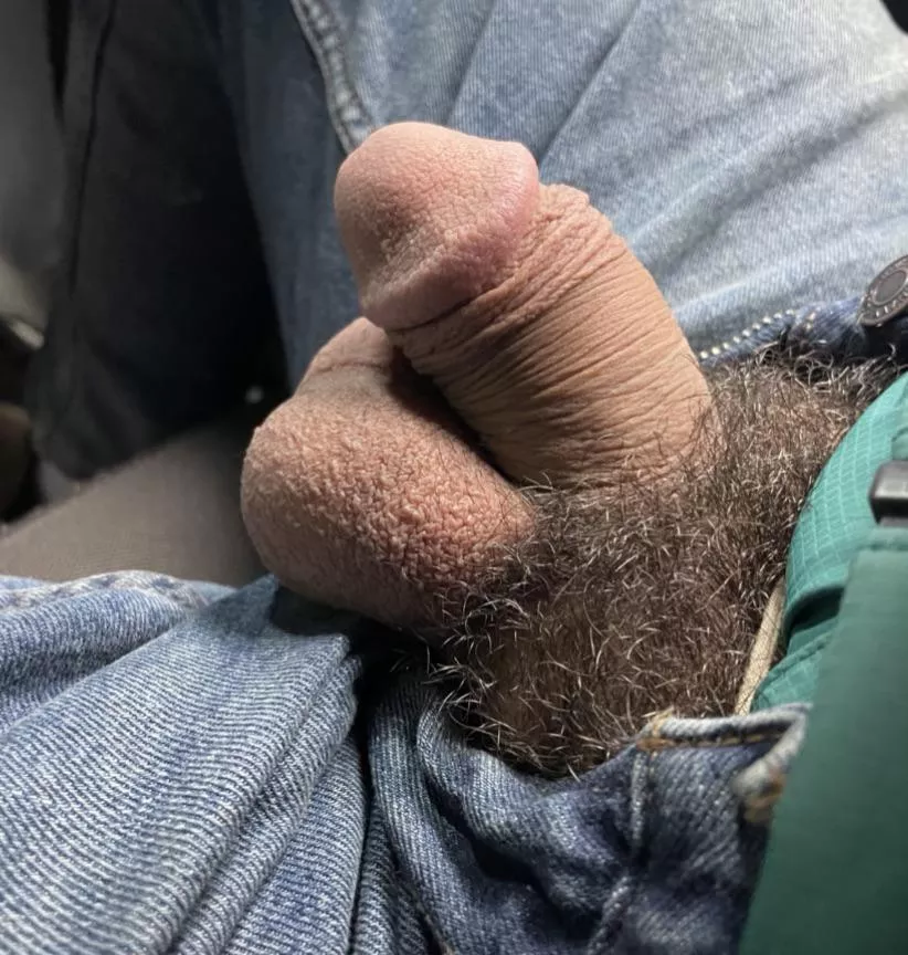Cut softie.