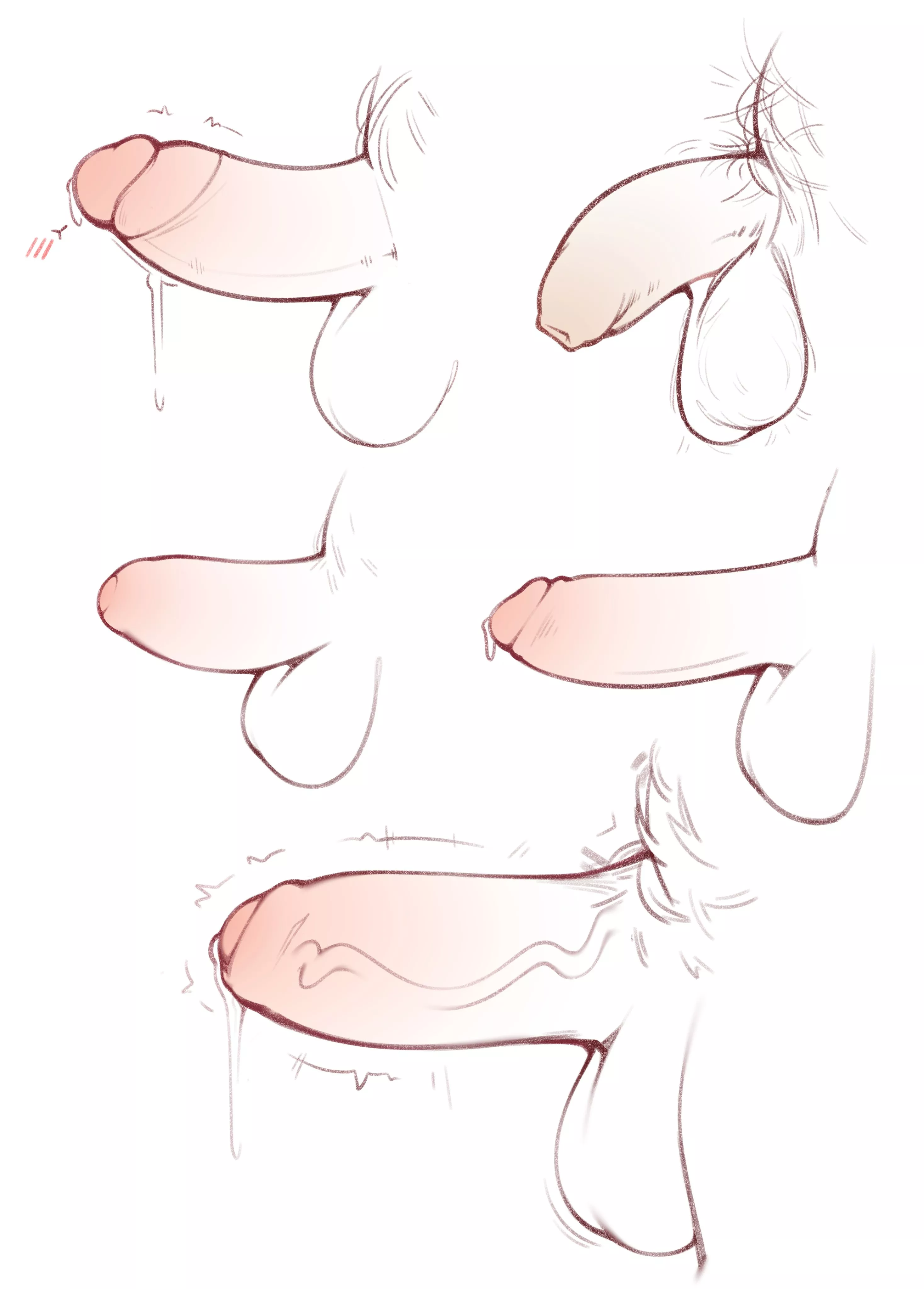 Dick (nepentz)