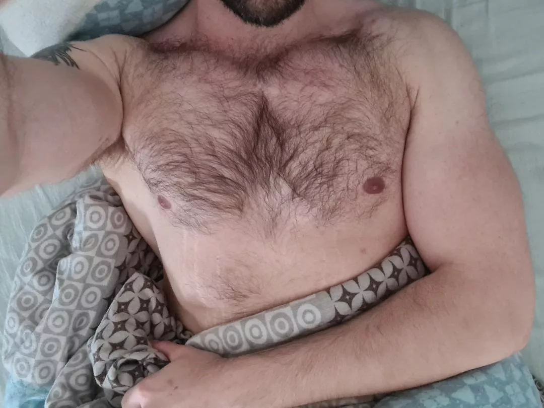 Hairy But Hole