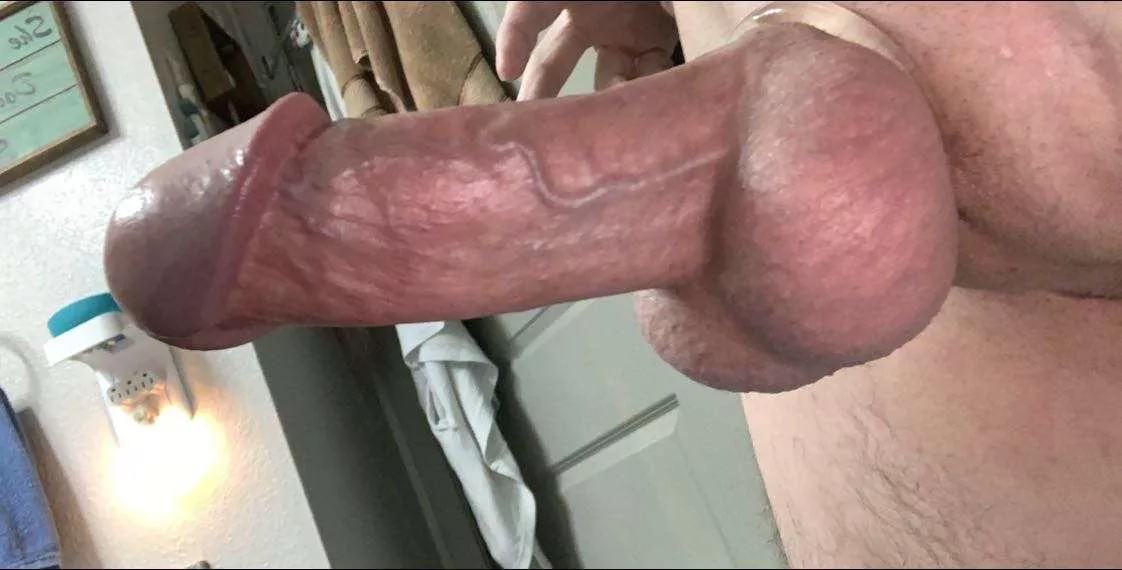 Huge Headed Cocks