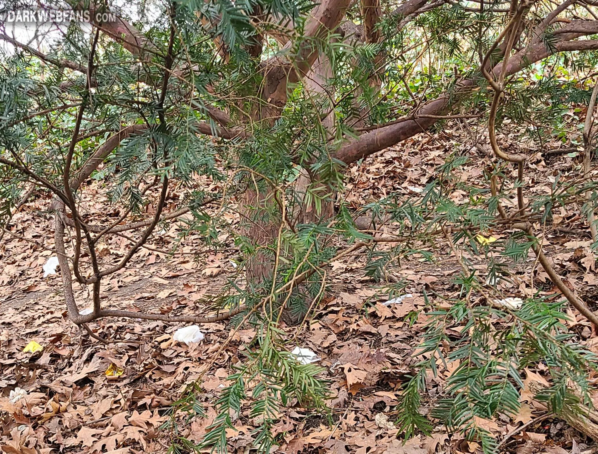 Hey Now Fellows Leaving Rubbish Around Is Simply Gross Yet More Awful