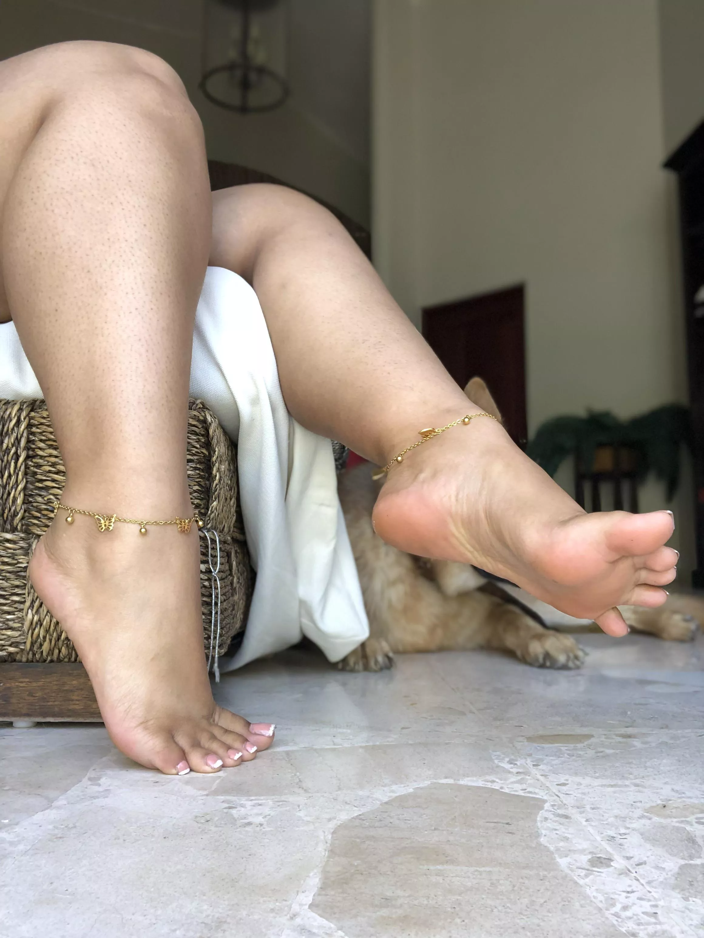 Hi everyone