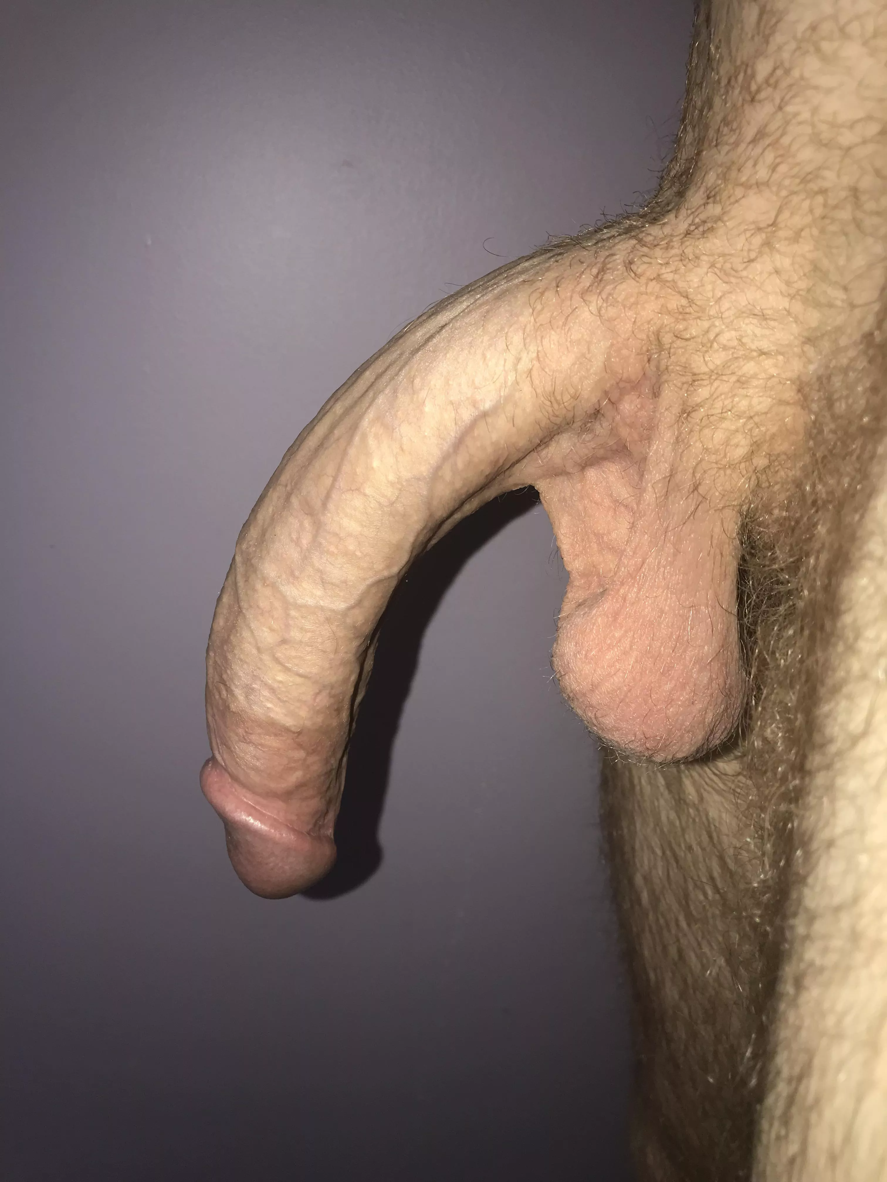 Curvy Cocks