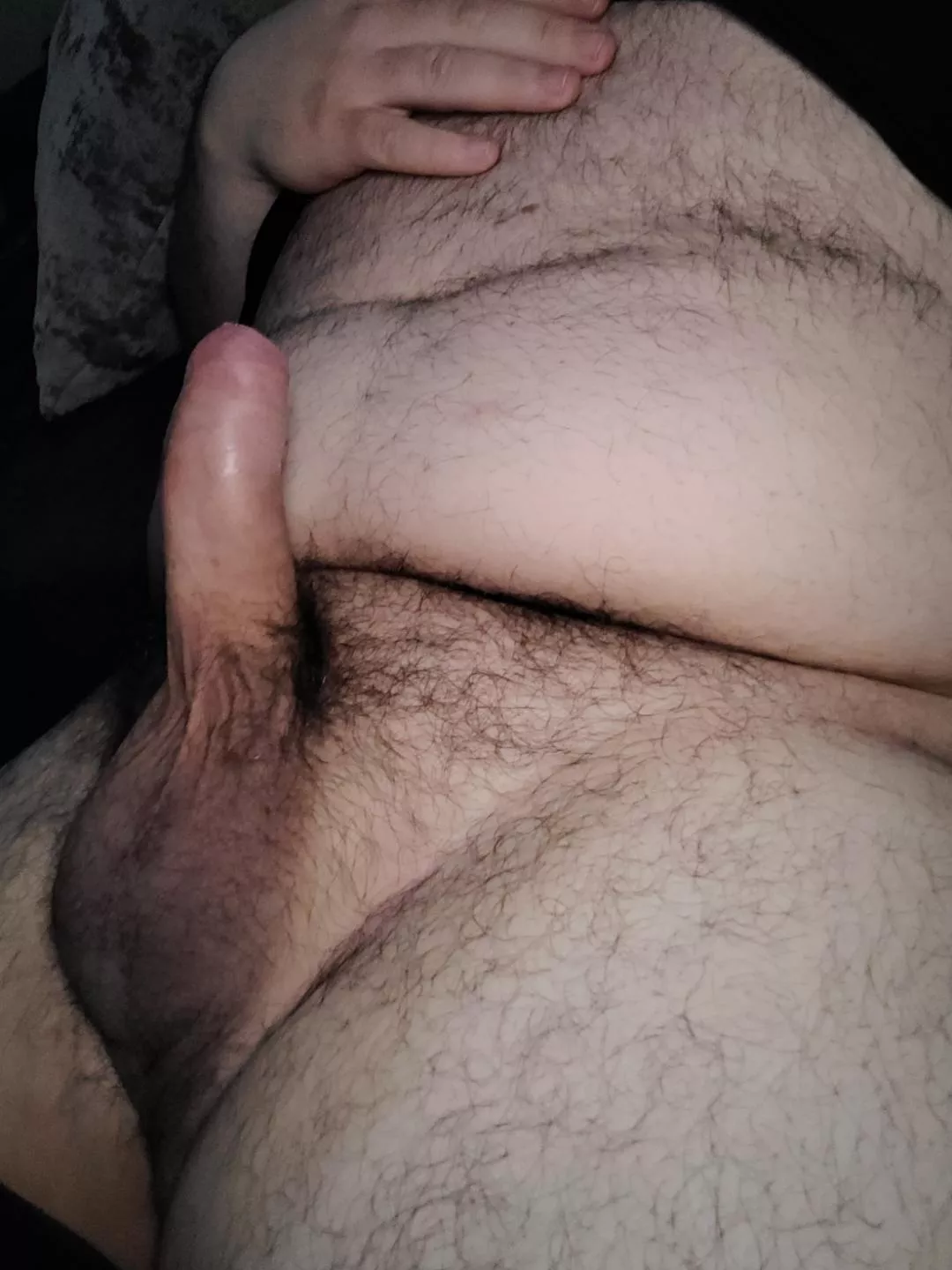 Just A Hairy Bull Dm To Compare Nudes Cockcompare Nude Pics Org