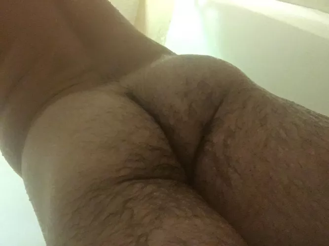 Hairy Bubble Butts