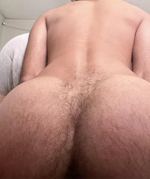 Hairy Butt Photo