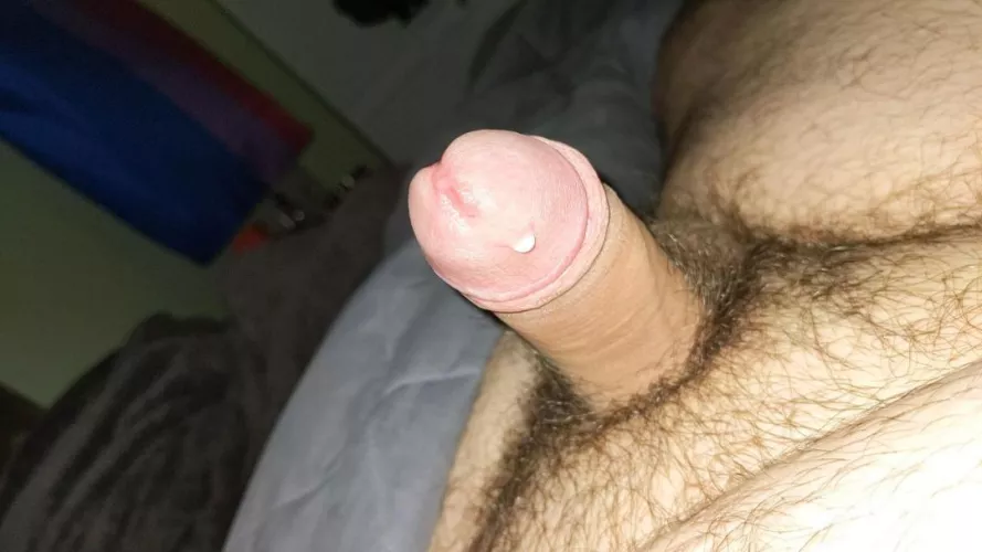 Pencil Dick Video