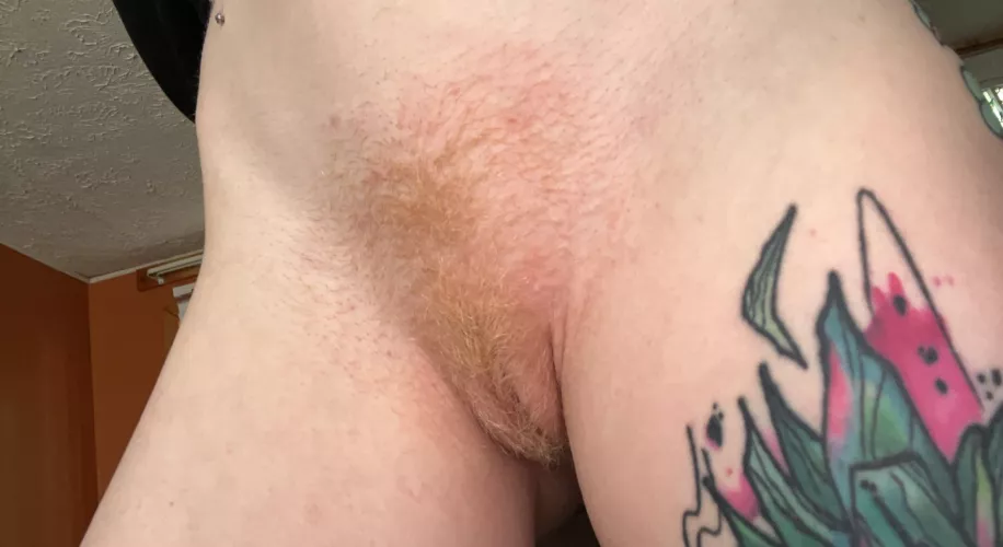 Fuzzy Pussy