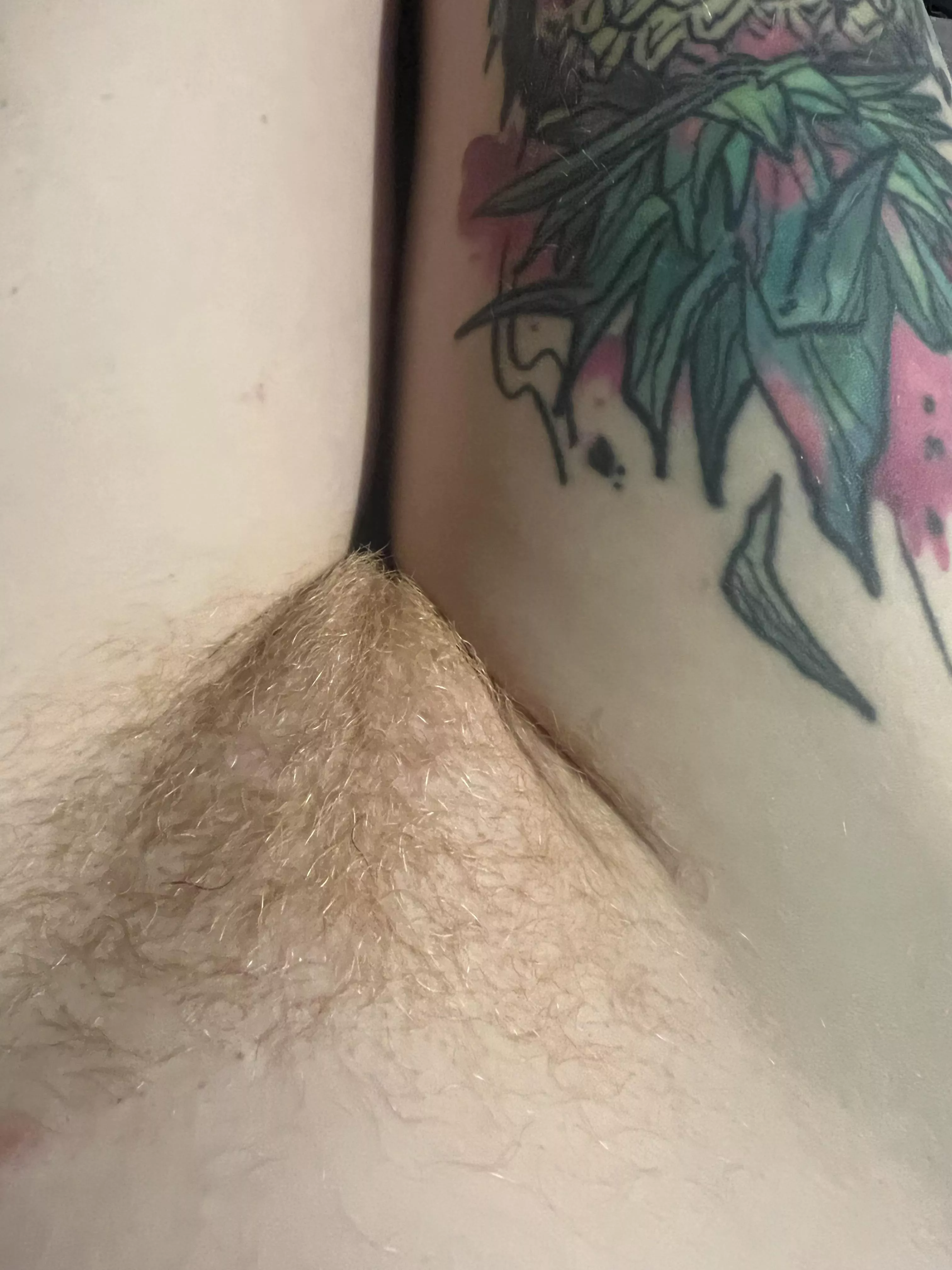 Peach Fuzz Pussies