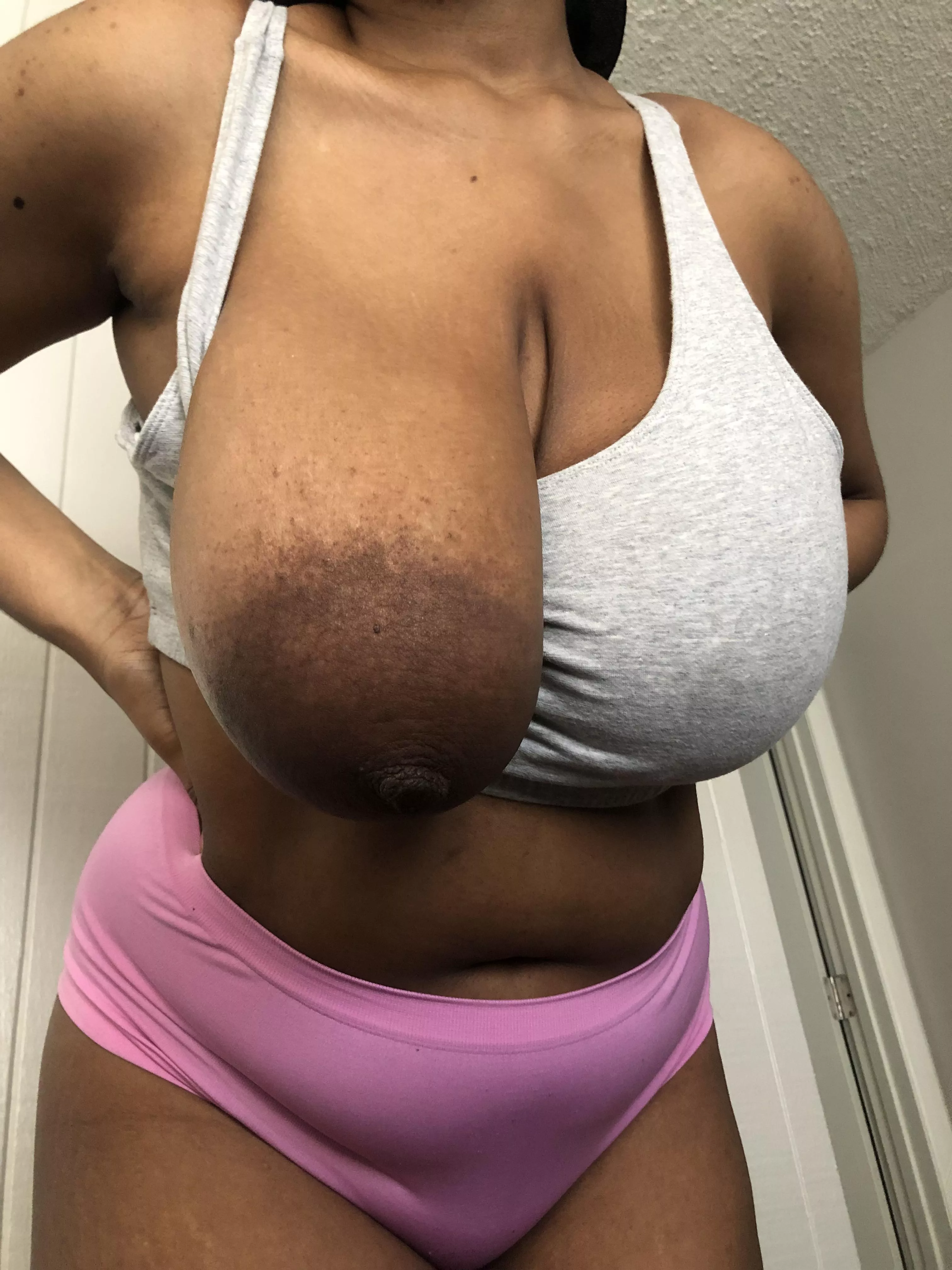 Brown Tits