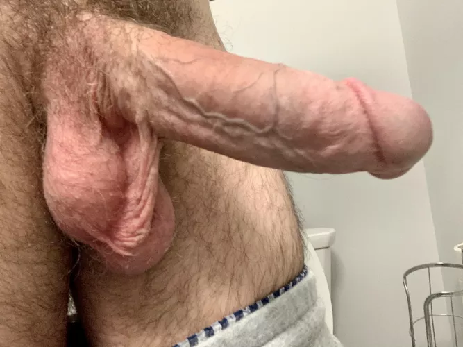 Big Dicks Pics