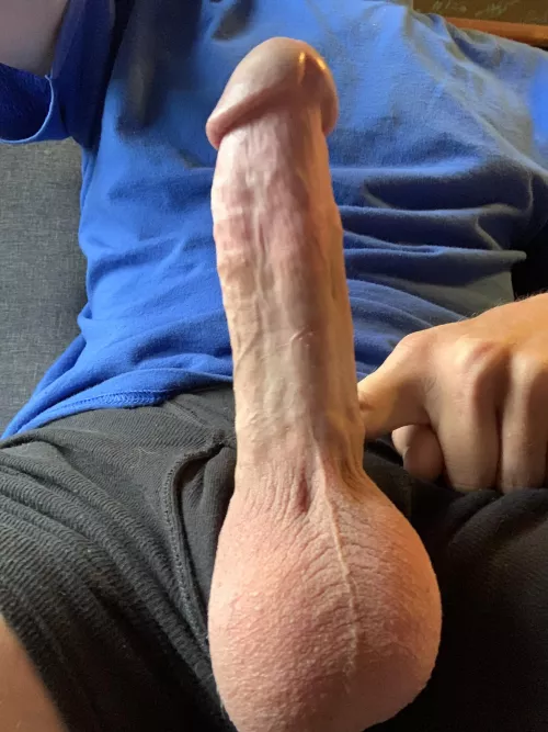 Pictures Of Limp Dicks