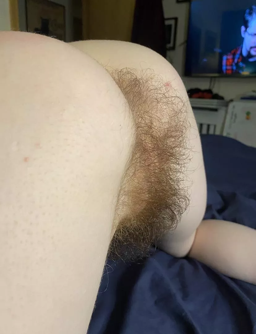Does my hairy ass turn you on?