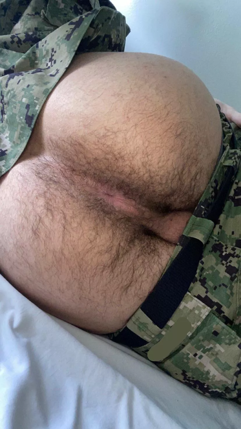 Come smell my ass