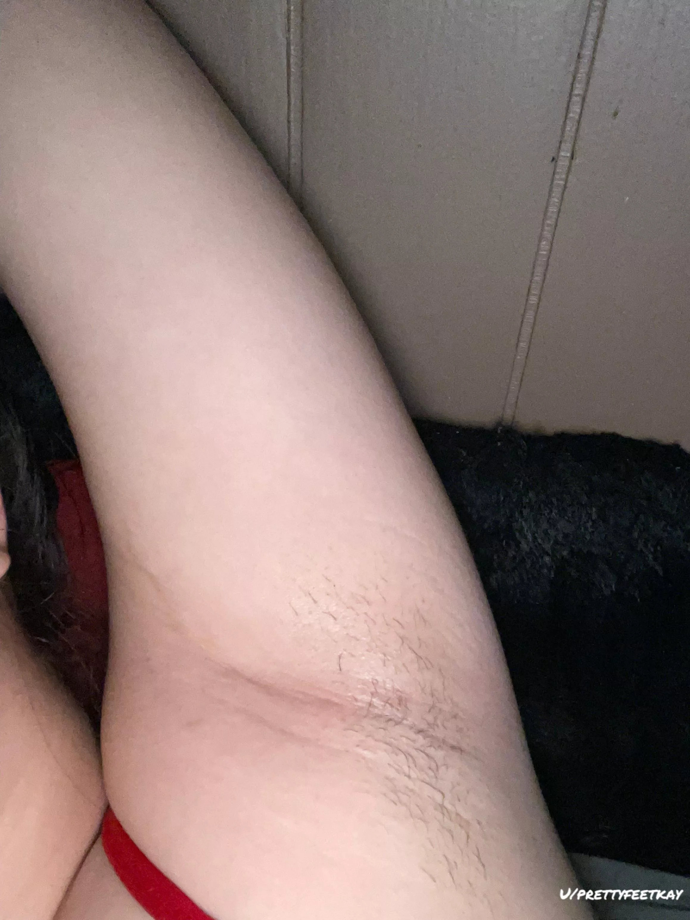 Wanna lick them