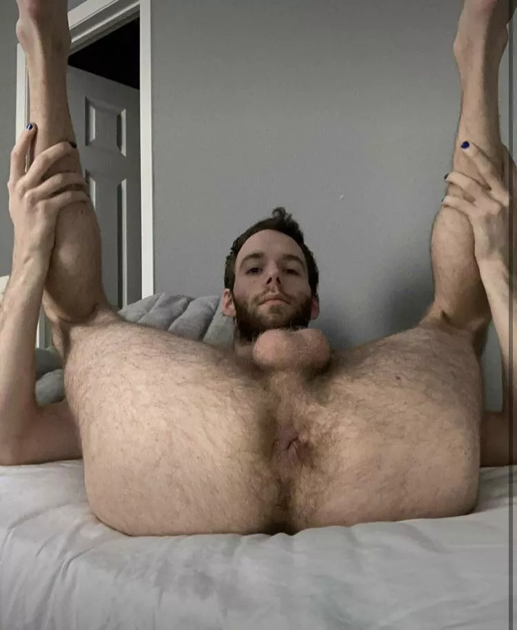 Hairy holes for your pleasure.