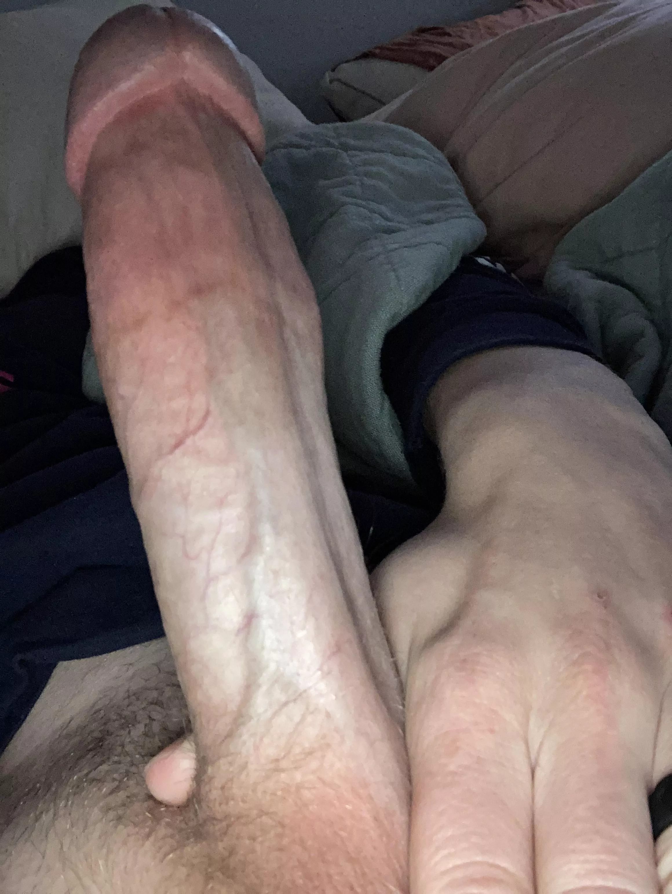 New