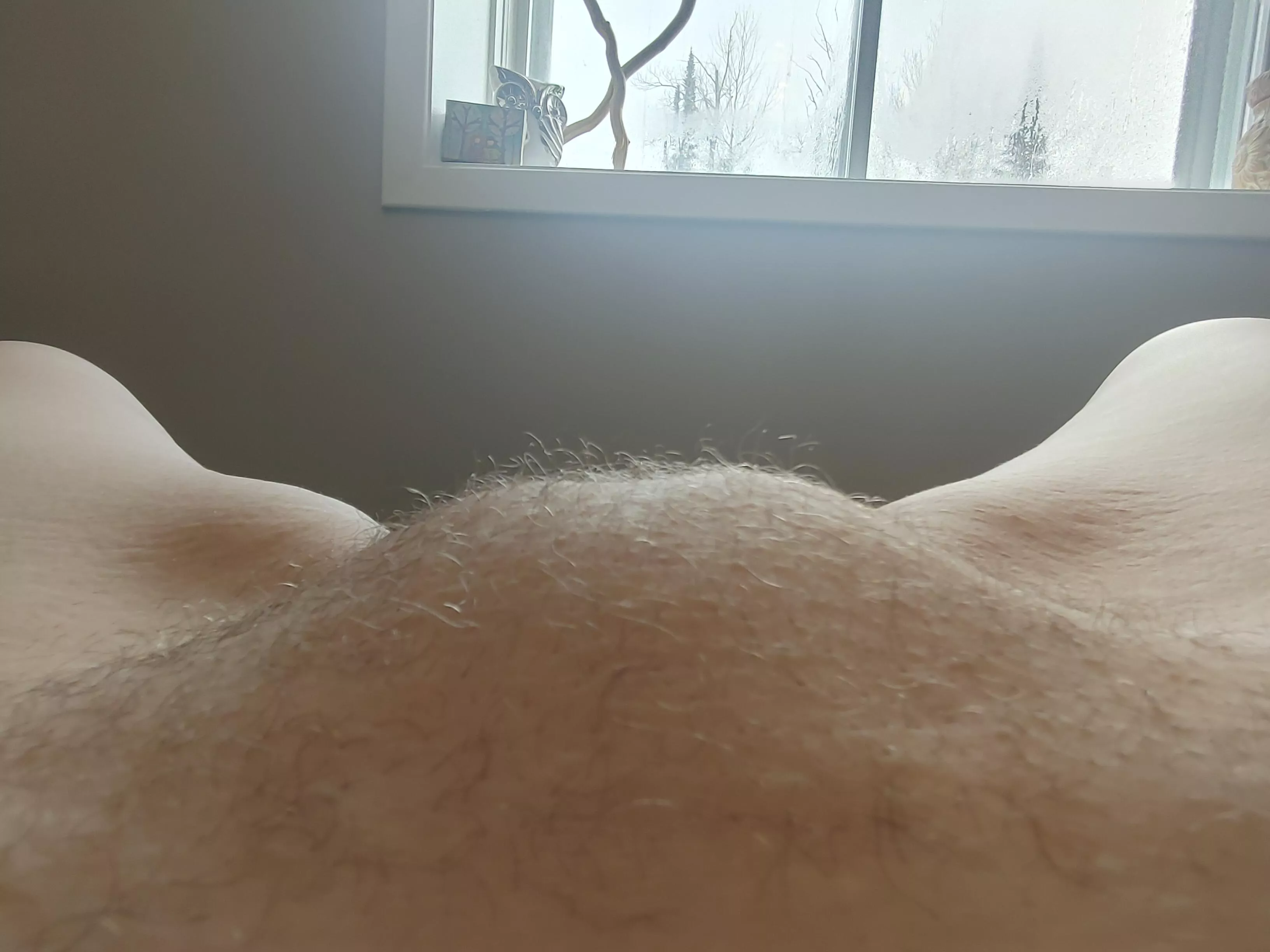 Happy hairy hump day!