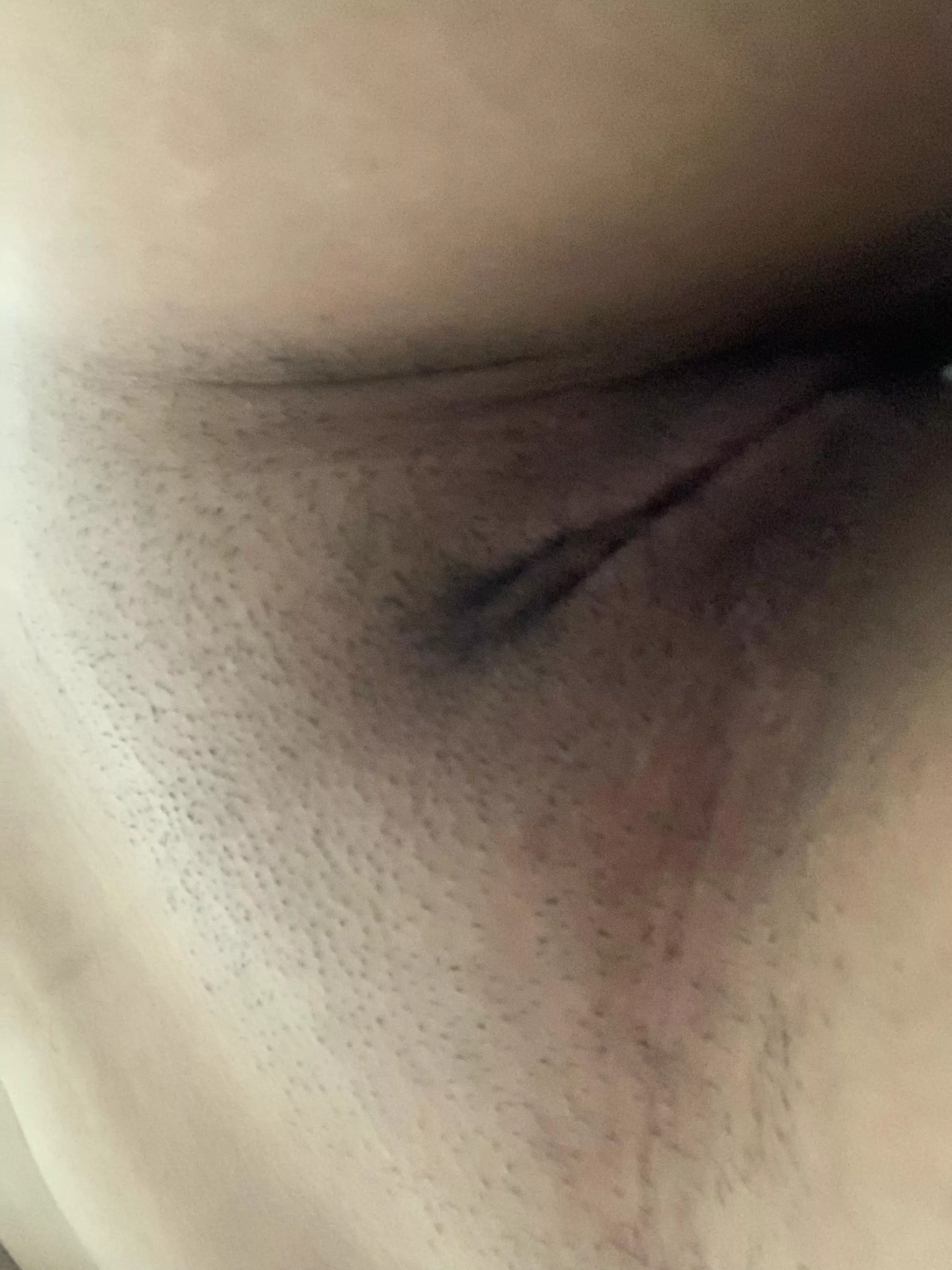 never been eaten