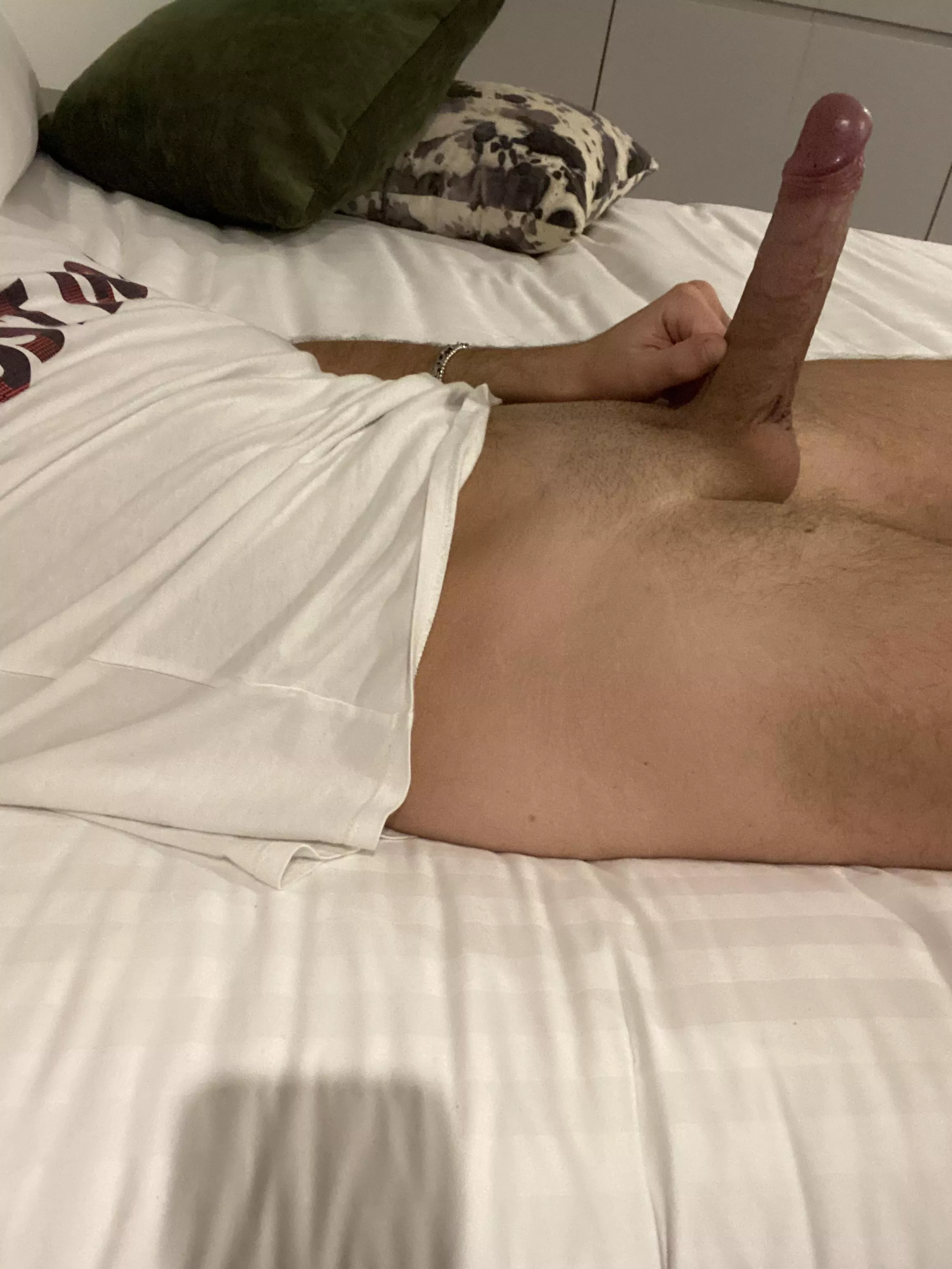 Hung bull Travelling… Perth/Sydney .. any females ?