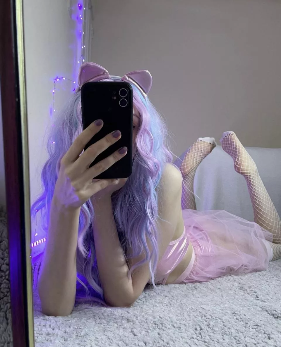 Pink kitty