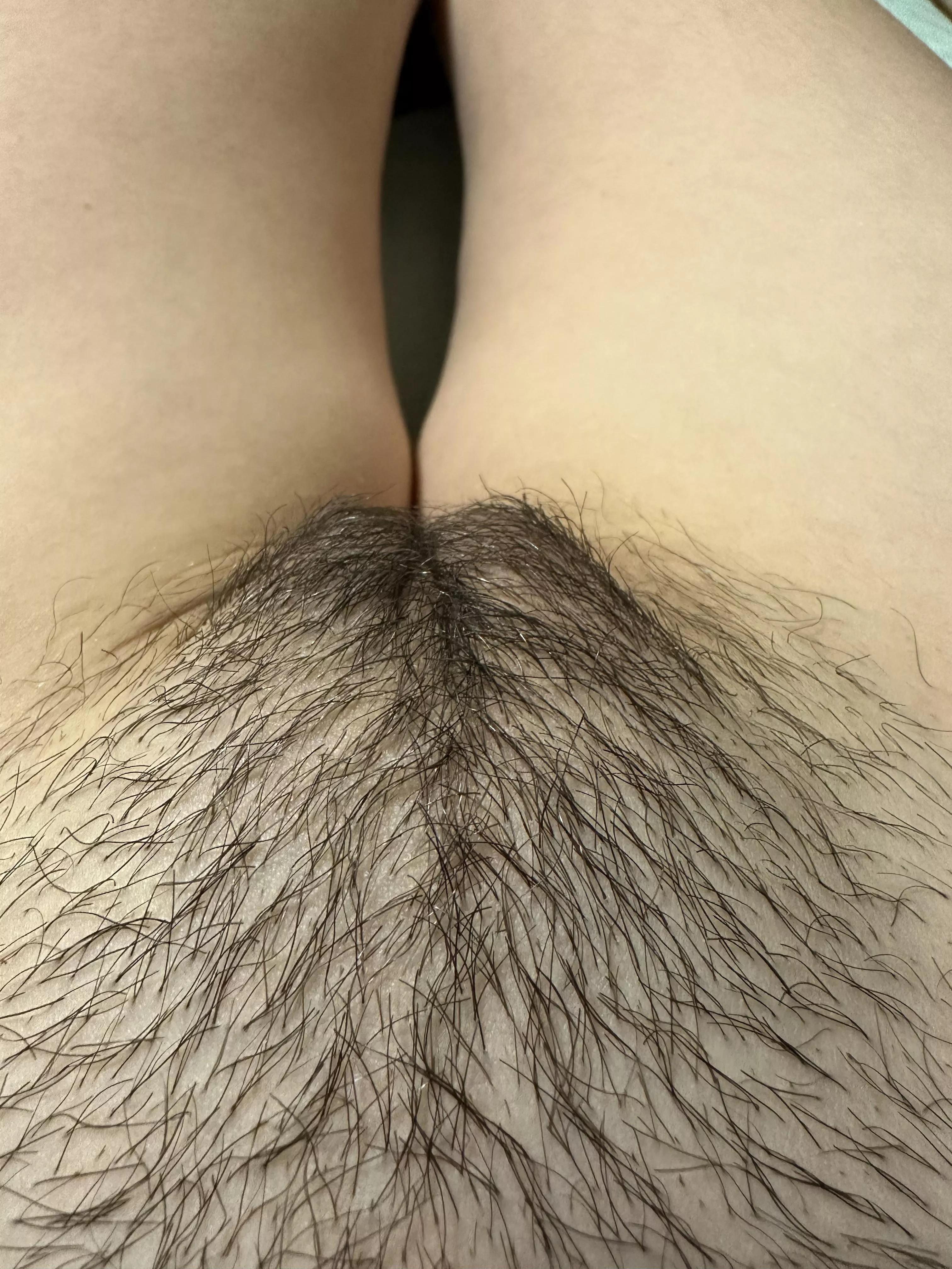 Wanna brush my hair?