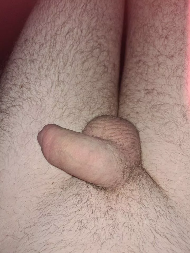 [26] uk little dick sub chav lad. Kik jamie231990