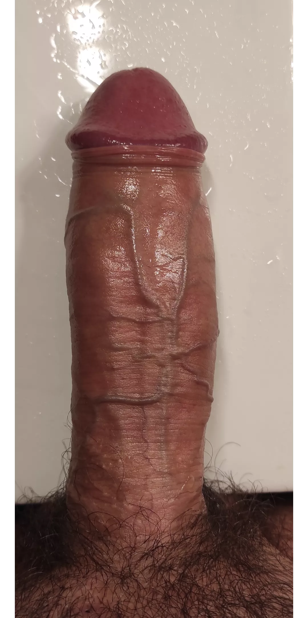 Morning veins (36)