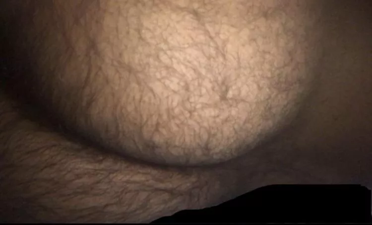very hairy bear ass needs filling from chasers, come play, dm me