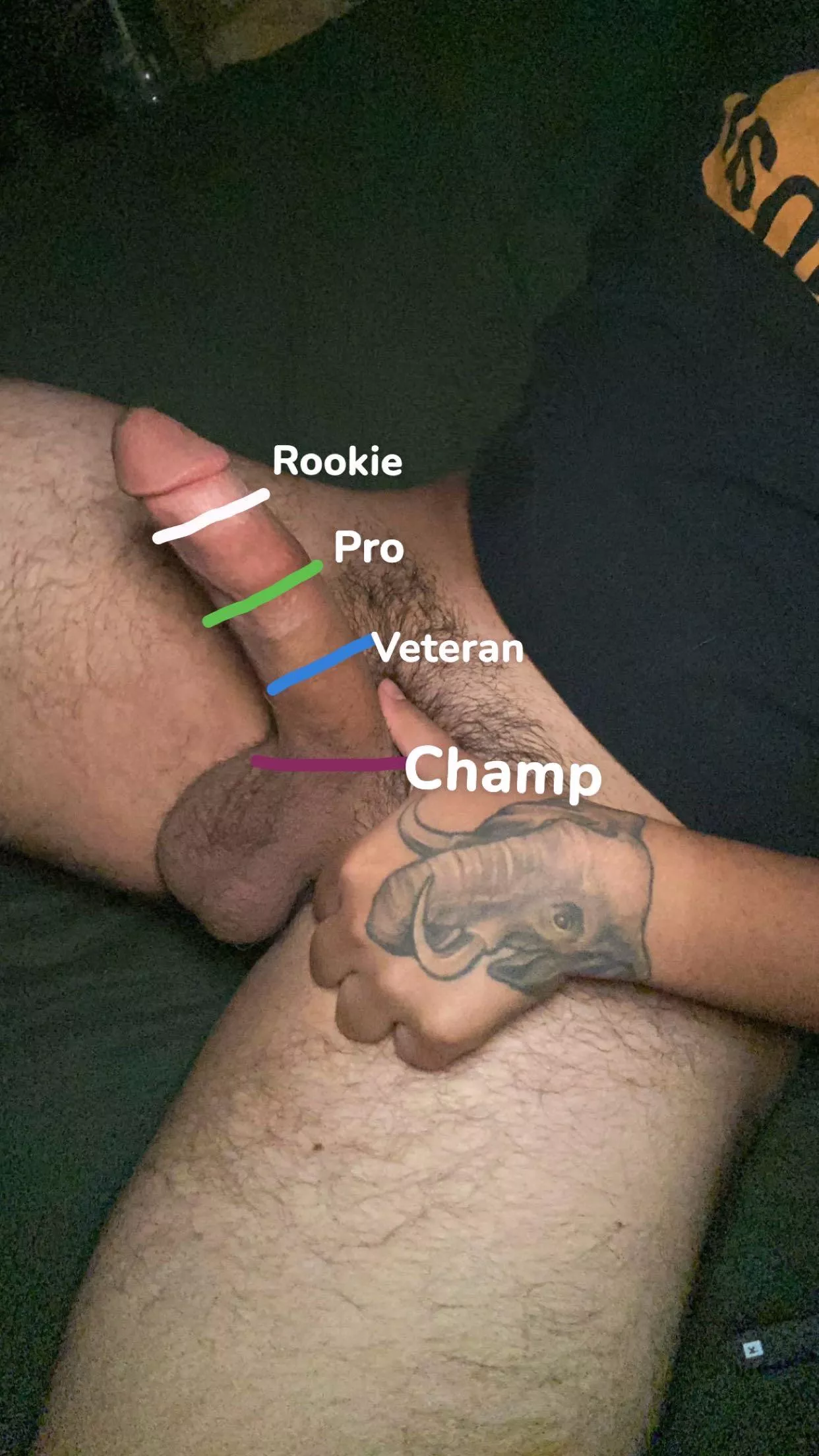 Pussy, Bussy or Throat